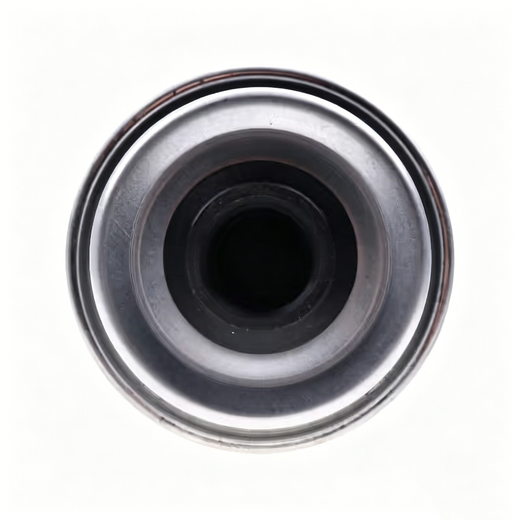 Fuel Filter Water Separator - Replaces Donaldson P551423 WIX 33759 33531 Fleetguard FS19516 FS19831 Baldwin BF1236 BF7665 Bobcat M711762 Perkins 26560140 26560138 - KUDUPARTS