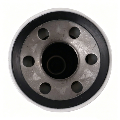 Hydraulic Filter 561980C1 D80548 E9NN7B155AB 9802241 for New Holland Tractor 8530 8630 8730 8830 Bale Thrower 77 CASE Loader W11 - KUDUPARTS