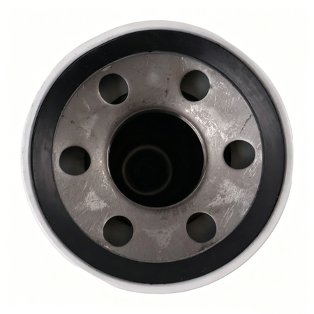 Hydraulic Filter 561980C1 D80548 E9NN7B155AB 9802241 for New Holland Tractor 8530 8630 8730 8830 Bale Thrower 77 CASE Loader W11 - KUDUPARTS