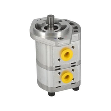 Hydraulic Gera Pump T4620-31501 for Kioti Tractor DK35 DK40 DS4110