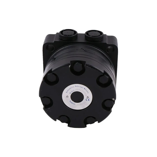 Hydraulic Motor 500120W3122AAAAA for White - KUDUPARTS