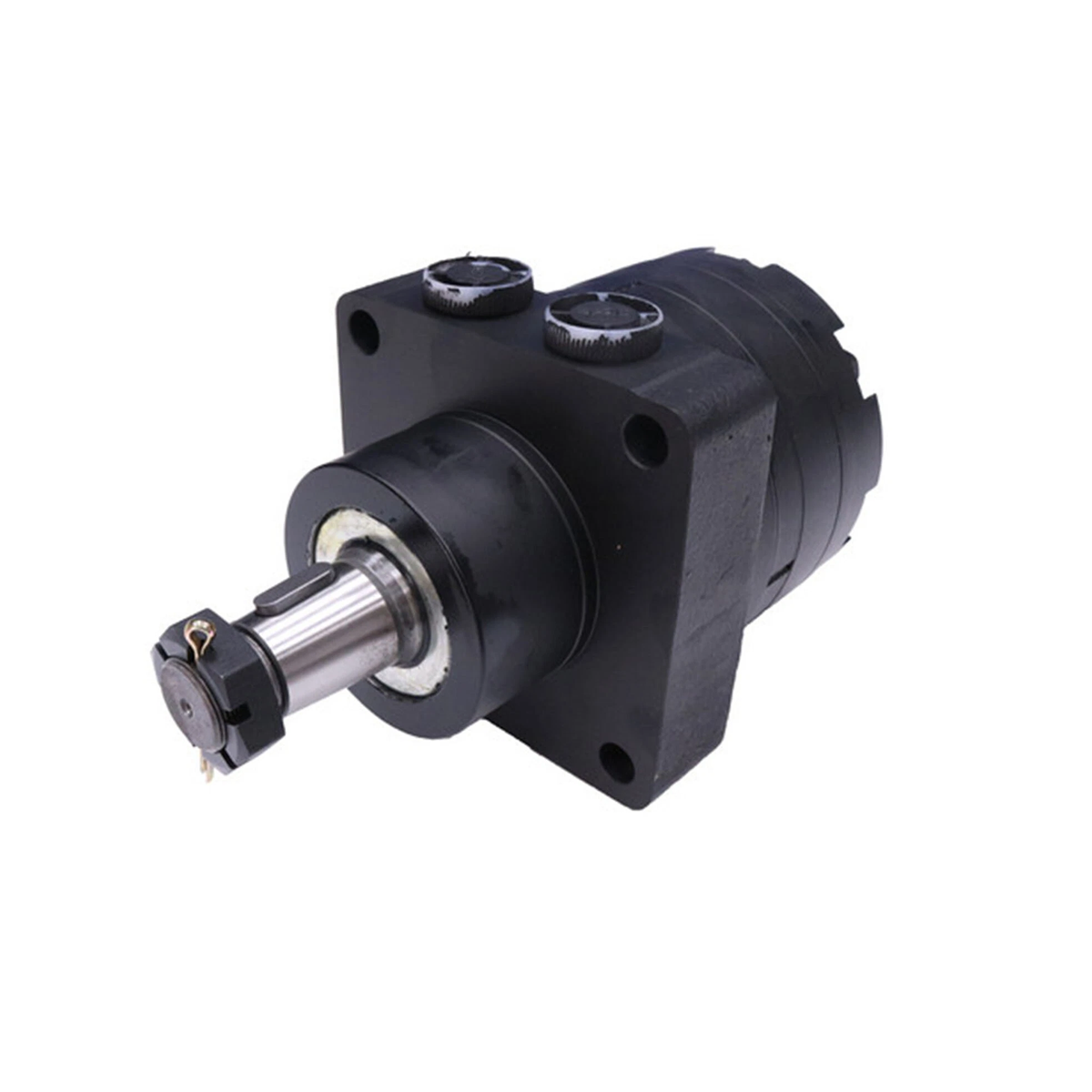 Hydraulic Motor 500250W3122AAAAA for White 500 Series - KUDUPARTS