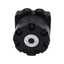 Hydraulic Motor 501230W3122AAAAA for White 500 Series