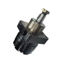 Hydraulic Motor 501350W3122AAAAA for White 500 Series