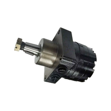 Hydraulic Motor 5500350W3122AAAAA for White RE 500 Series