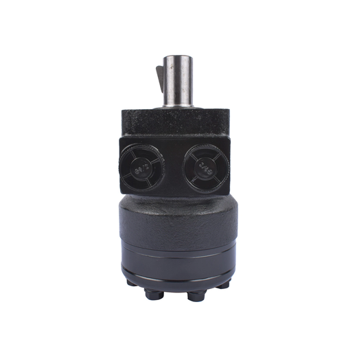 Hydraulic Motor TB0100FP100AAAA TB0100FP100AAAB for Parker TB TE Series - KUDUPARTS