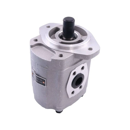 Hydraulic Pump 67110-22020-71 for Toyota Engine 5R 4P Forklift 2FD 3FD 4FD 3FG 4FG 02-2FDC20 02-3FD25 42-4FG10 60-4FGC25 FDC23 FG18 FGC23
