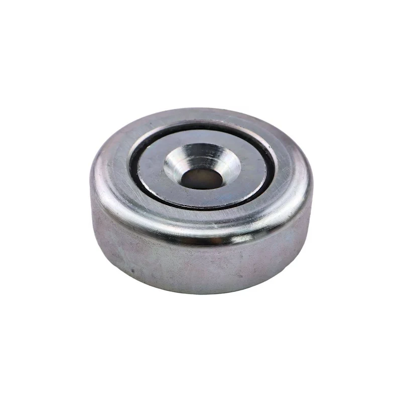 Mast Guide Roller Bearing 529.120.0001 for Princeton Teledyne Forklift - KUDUPARTS