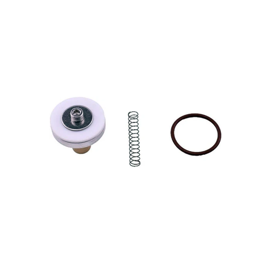 Minimum Pressure Check Valve Repair Kit 250019-444 for Sullair Screw Air Compressor - KUDUPARTS