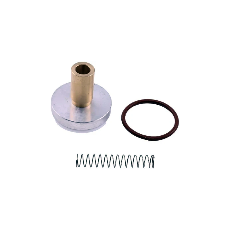 Minimum Pressure Check Valve Repair Kit 250019-444 for Sullair Screw Air Compressor