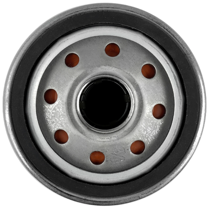 Oil Filter AM107423 for John Deere Tractor LX172 LX173 LX176 LX178 LX186 LX188 LX277 LX279