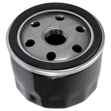 Oil Filter AM125424 for John Deere Tractor X146R X155R X165 X166 X166R