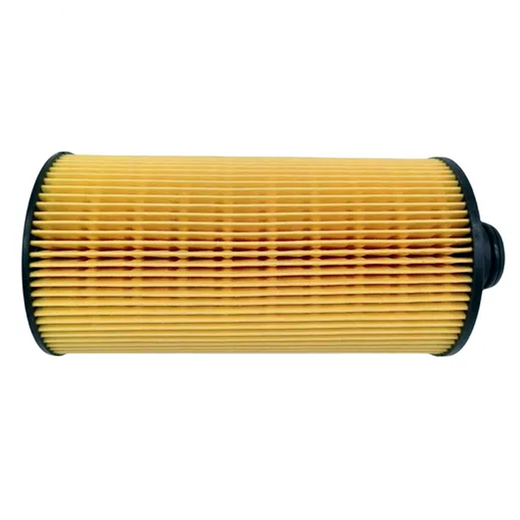 Oil Filter Element 1000491060 for Faw Truck J6F - KUDUPARTS