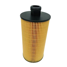 Oil Filter Element 1000491060 for Faw Truck J6F