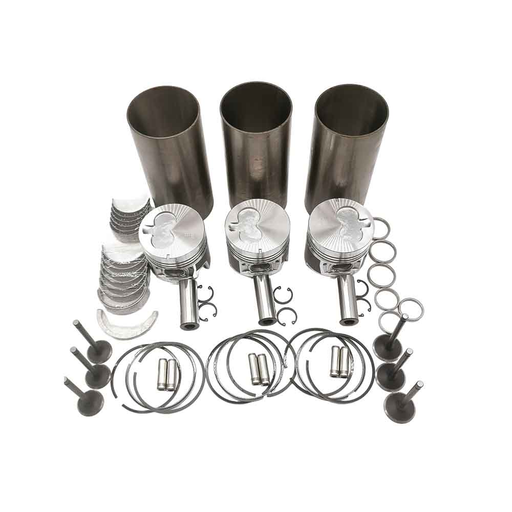 Overhaul Rebuild Kit for Isuzu Engine 3LD1 John Deere Excavator 35ZTS 27ZTS