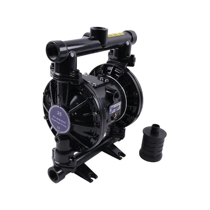 Pneumatic Diaphragm Pump D73525 for Graco Husky 1040