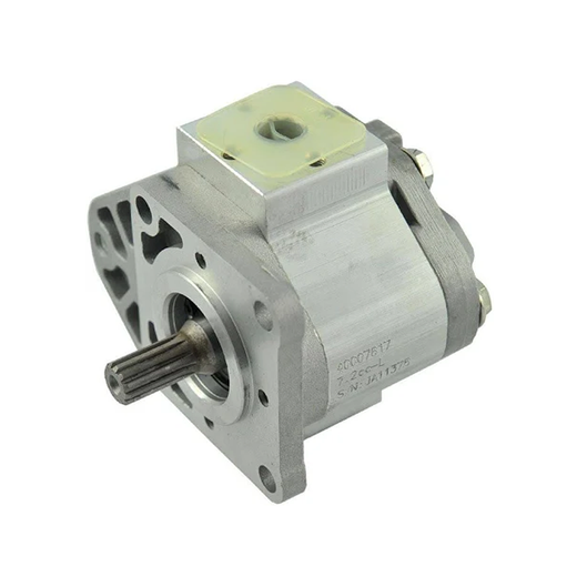 Power Steering Pump 40007617 for LS U5020 N41 N47 - KUDUPARTS
