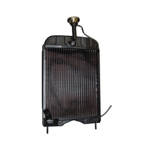 Radiator 1672861M91 1672861M93 1680547M91 1680547M92 for Massey Ferguson Tractor 20B 20D 20E 20F 30E 30H 40E 230 240 250