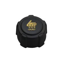 Radiator Coolant Reservoir Tank Cap 8200048024 7700805131 for Renault Clio Duster 2008-2016 - KUDUPARTS