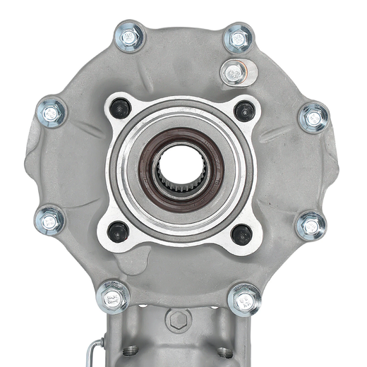 Rear Final Gear Differential Assembly 41300-HN0-A00 for Honda ATV Foreman 400 450 TRX400FW TRX450S TRX450ES - KUDUPARTS