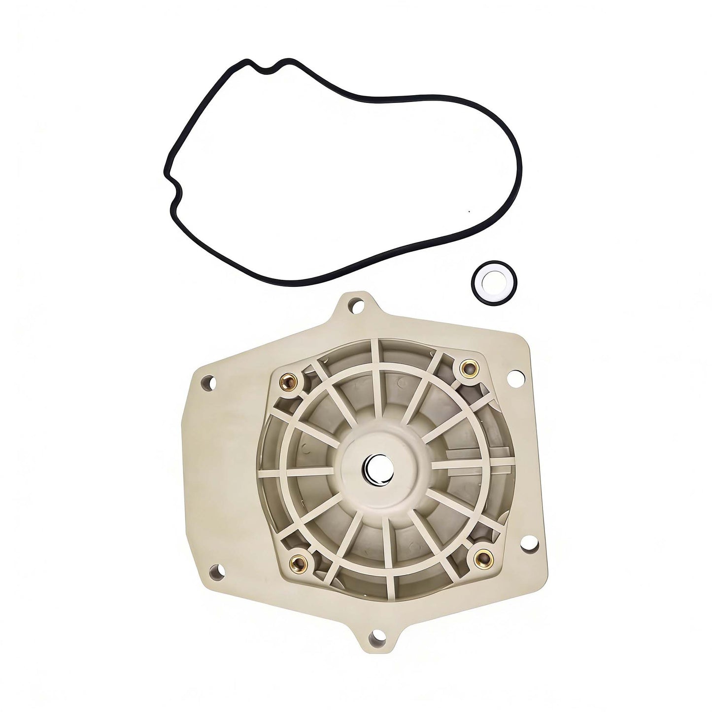 Seal Plate 25357-300-000 074564 for Pentair Whisperflo and Intelliflo In Ground Pool Pump