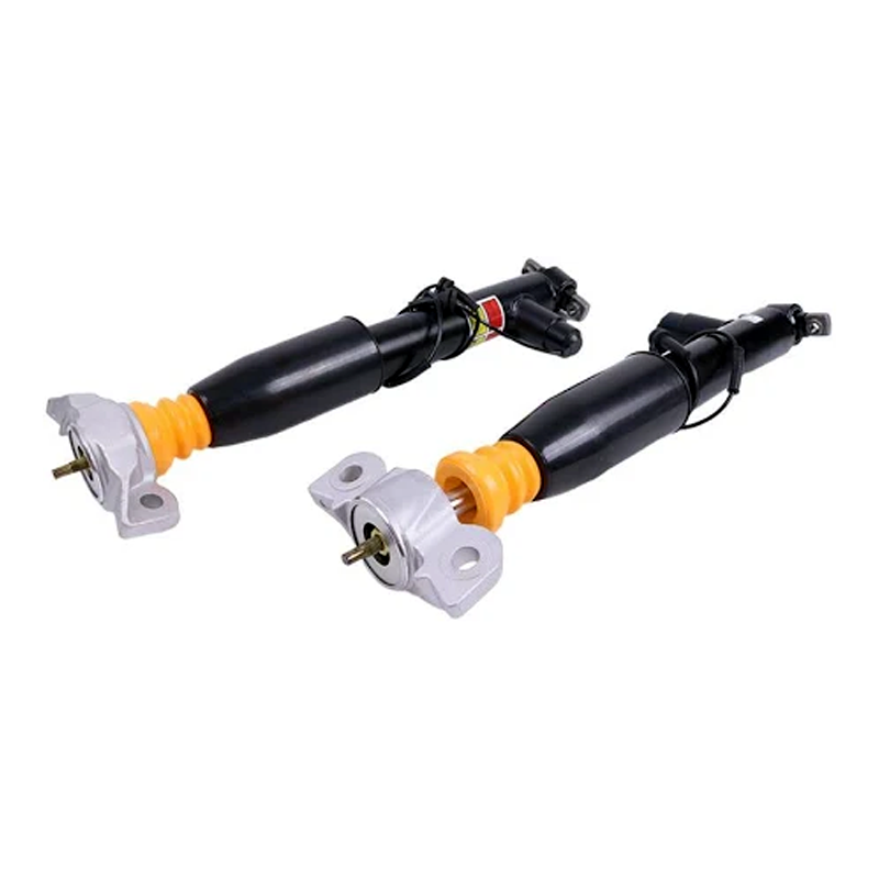 Amortisseurs ASH24635 pour Lincoln MKZ 2013-2020