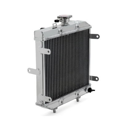 Water Tank Radiator 19010HN2505 19010HN2003 for 2001-2004 Honda ATV Foreman Rubicon 500 TRX500FA