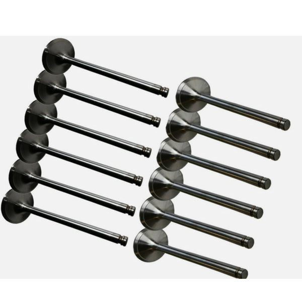 1 Set Exhaust & Intake Valve for Cummins C8.3 Engine - KUDUPARTS
