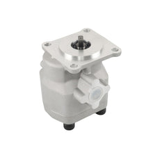Hydraulic Oil Pressure Pump 67111-76100 for Kubota Tractor B20 B6200D B6200HSTE(Ship to US Only.) - KUDUPARTS
